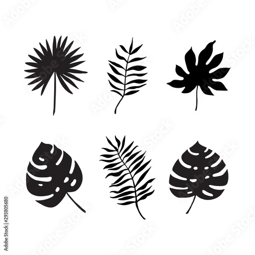 Set of six vector tropical leaves. Black and white illustration isolated on white background.