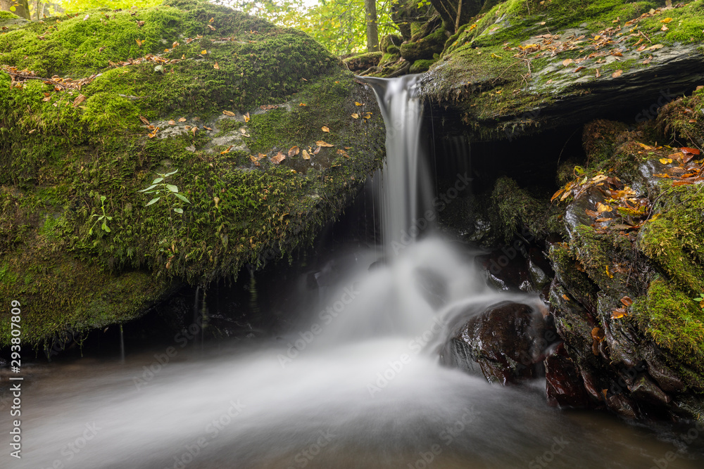 Obraz premium Bach mit Wasserfall im Herbstwald