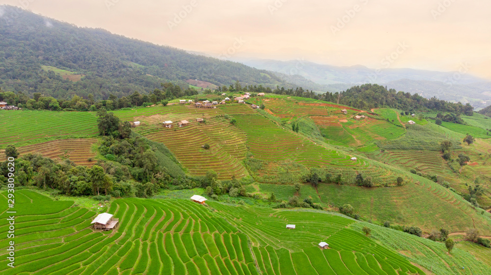 Beautiful Rice Terraces, South East Asia, Pa-pong-peang rice terrace north Thailand