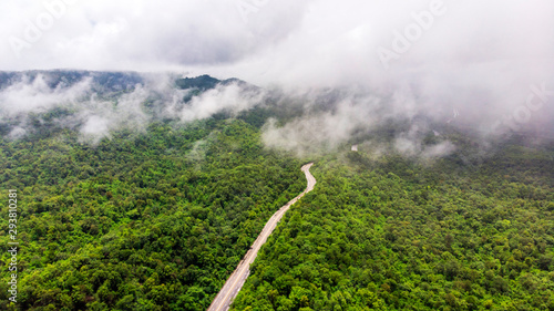 High angle highway with natural forest and fog.