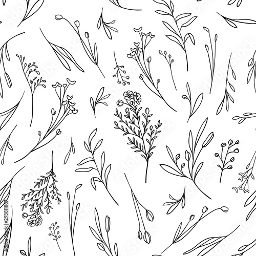 Wildflowers seamless pattern on white background. Botanical illustration. Wildflowers hand drawn photo