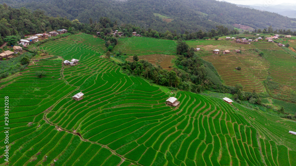 rice terraces in vietnam
