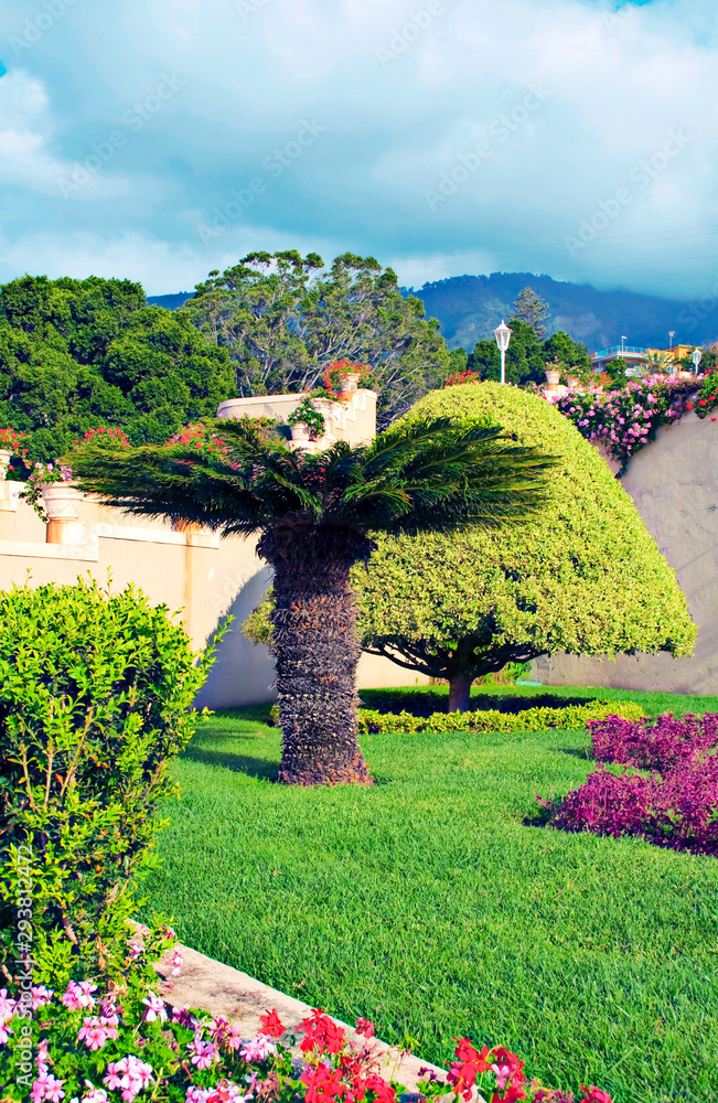 Garden of Spanish town of La Orotava in Canary Island in a sunny day.
