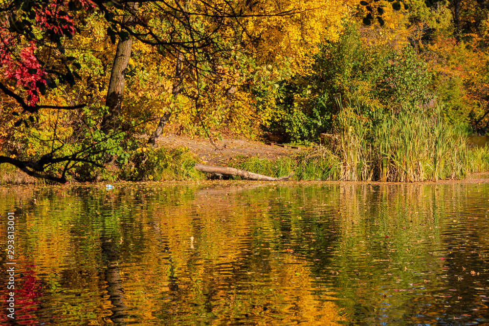 beautiful autumn landscape with falling leaves in the lake beautiful autumn landscape with falling leaves in the lake