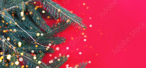 Sprigs of a Christmas tree with a garland and lights on a red background.