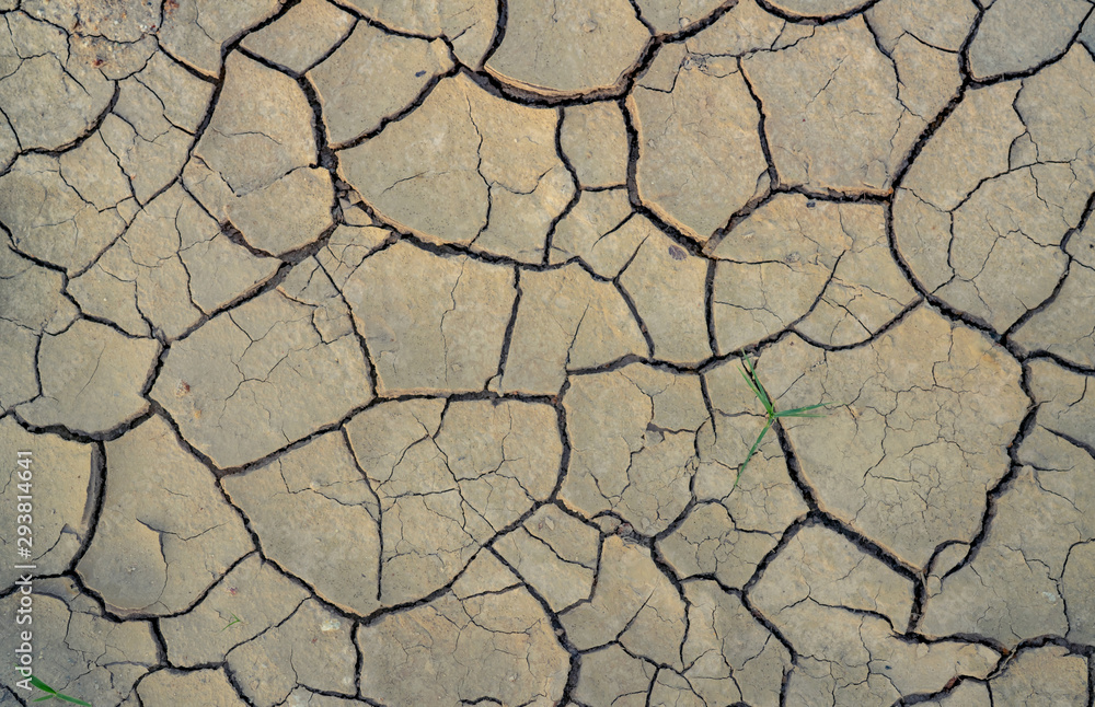 Climate change and drought land. Water crisis. Arid climate. Crack soil. Global warming. Environment problem. Nature disaster. Dry soil texture background. Dry and cracked skin need moisture concept. Climate change and drought land. Water crisis. Arid climate. Crack soil. Global warming. Environment problem. Nature disaster. Dry soil texture background. Dry and cracked skin need moisture concept.