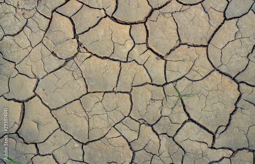 Climate change and drought land. Water crisis. Arid climate. Crack soil. Global warming. Environment problem. Nature disaster. Dry soil texture background. Dry and cracked skin need moisture concept.