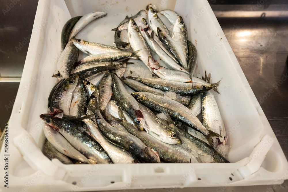 Fresh fish called sardines at the municipal market in Santiago de Compostela. Galicia, Spain Fresh fish called sardines at the municipal market in Santiago de Compostela. Galicia, Spain