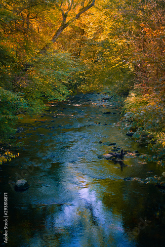 Autumn Leaves Fall River Background