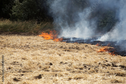 Dry forest and steppe fires completely destroy fields and steppes during severe drought. Disaster causes regular damage to the nature and economy of the region. Field Lights Farmer Burns Straw