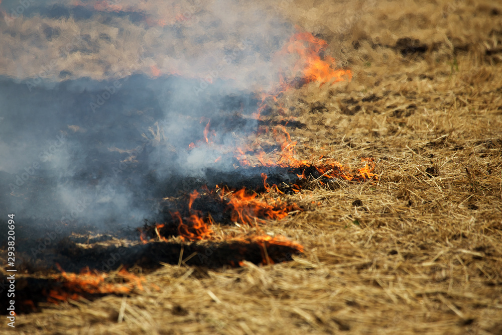 Dry forest and steppe fires completely destroy fields and steppes during severe drought. Disaster causes regular damage to the nature and economy of the region. Field Lights Farmer Burns Straw Dry forest and steppe fires completely destroy fields and steppes during severe drought. Disaster causes regular damage to the nature and economy of the region. Field Lights Farmer Burns Straw