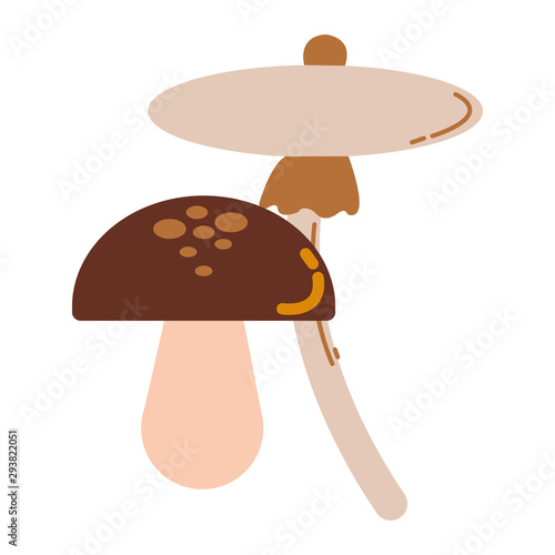 fungus autumn seasonal isolated icon