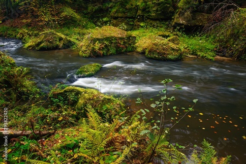 A beautifully river flowing autumn forest