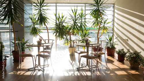 restaurant tables and many beautiful flowers