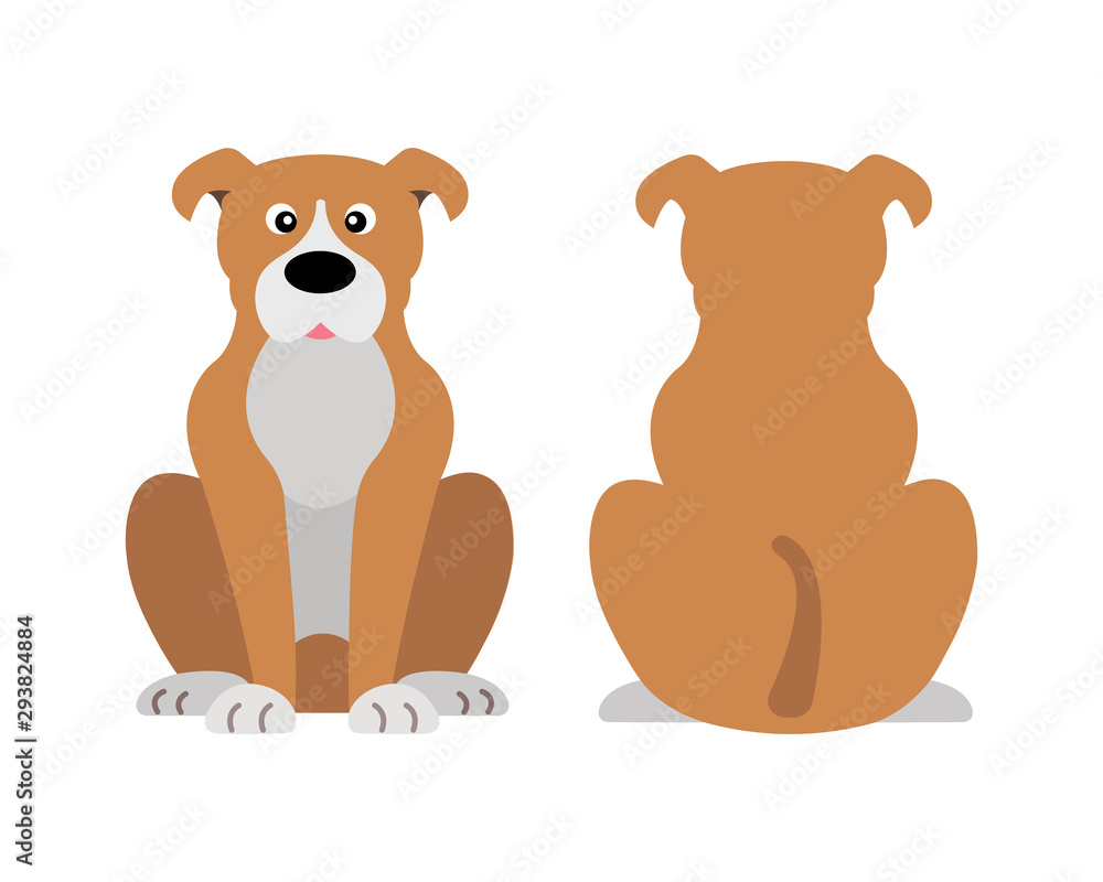 Vector illustration of funny cartoon dogs breeds set. Boxer dog.