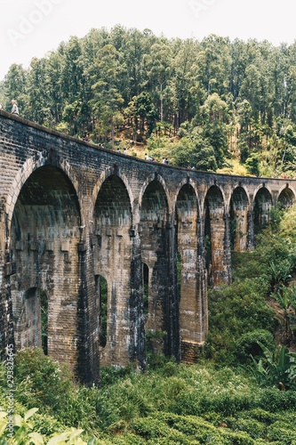 Train on the Nine Arch Bridge in Sri Lanka