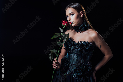 scary vampire girl in black gothic dress holding red rose isolated on black