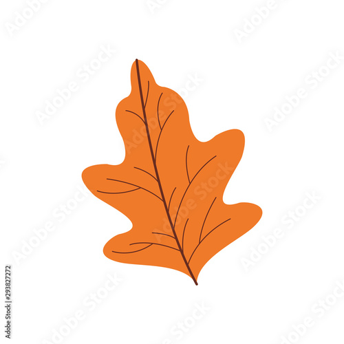 autumn leaf plant seasonal isolated icon