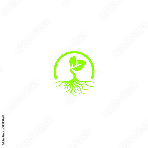 tree with root logo template