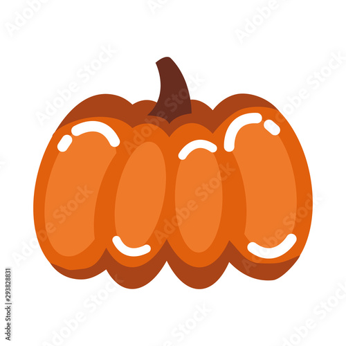 autumn pumpkin fruit seasonal isolated icon