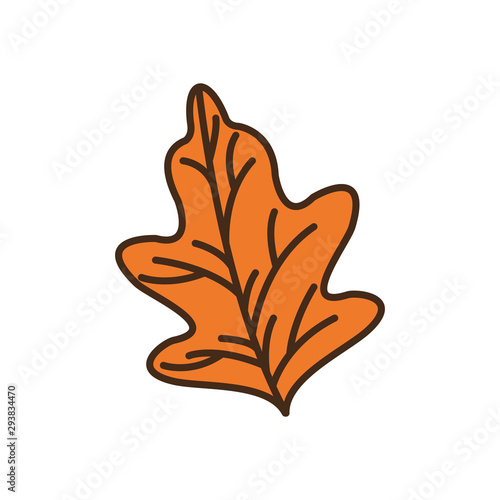 autumn leaf plant seasonal isolated icon