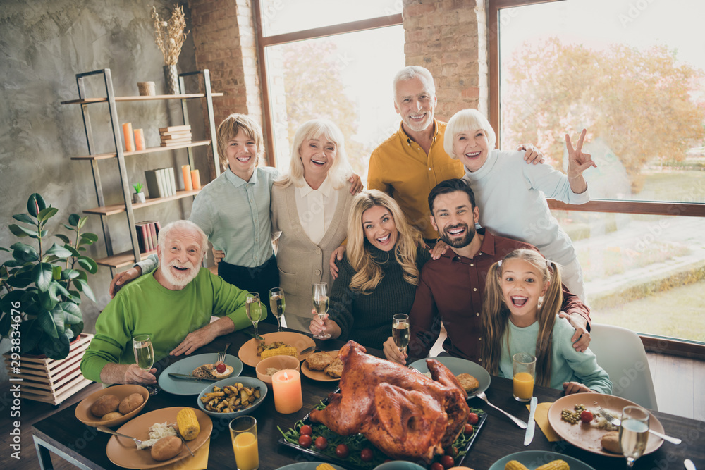 Photo of big family standing hugging feast table holiday roasted turkey making portrait relatives multi-generation raising wine glasses show v-sign in living room indoors