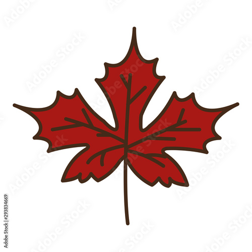 autumn maple leaf plant seasonal isolated icon