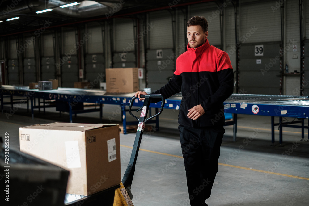 Warehouse worker with a pallet rack