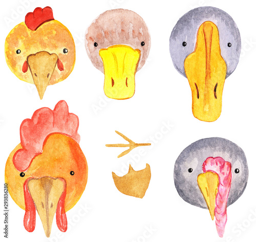 Set of cute cartoon farm bird portraits - chicken with rooster, duck, goose and turkey. watercolor illustration for prints, design, posters, cards and magazines.