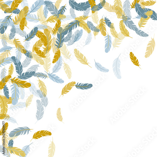 Falling feather elements soft vector design.