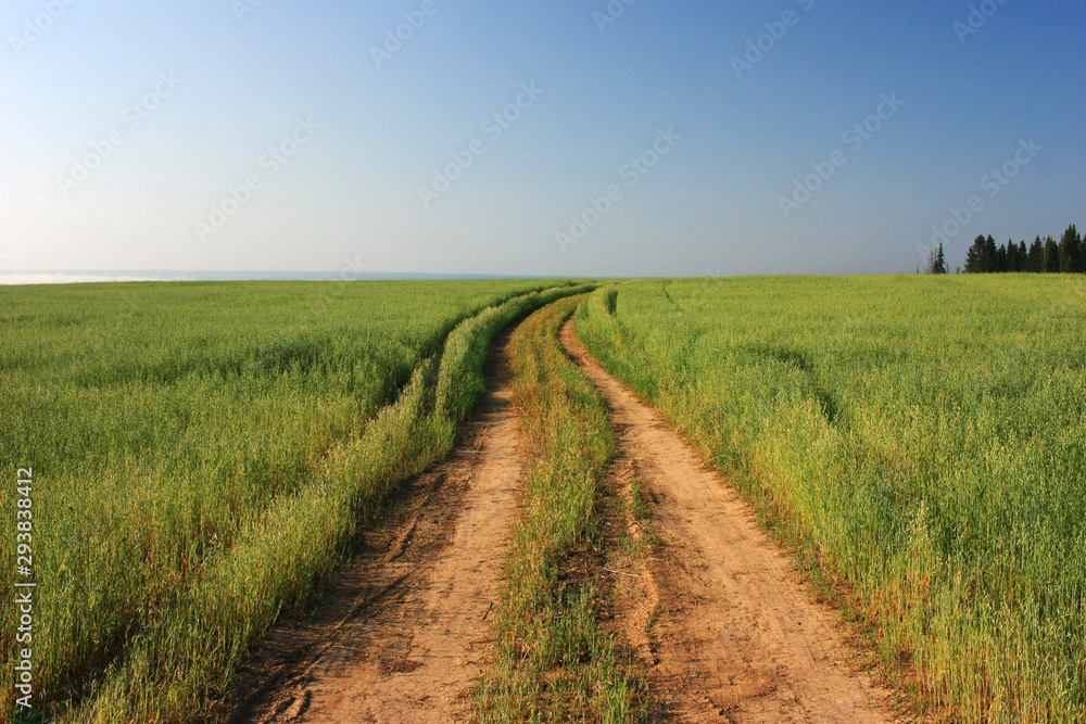 Country, dirt road in the field