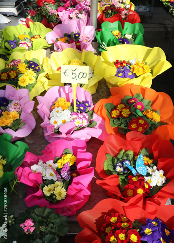 flowers for sale in the stall of florists with the price tag photo