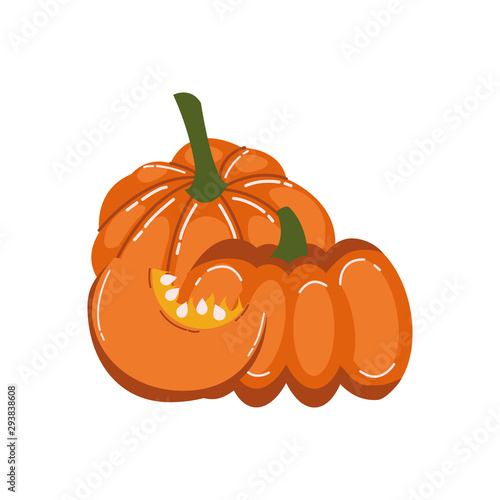 autumn pumpkin fruit seasonal isolated icon