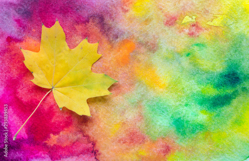 Yellow autumn leaves on watercolor background