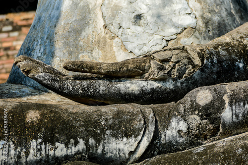 roots of tree, digital photo picture as a background photo