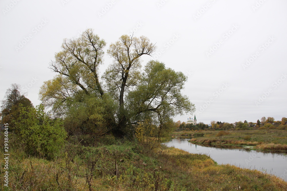 Obraz premium Big autumn tree in the field on the riverside with background of village church and bridge