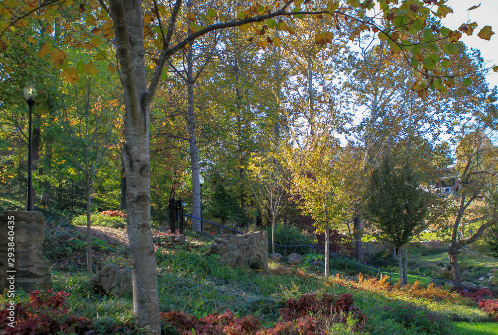 Naklejka premium Leaves and Trees