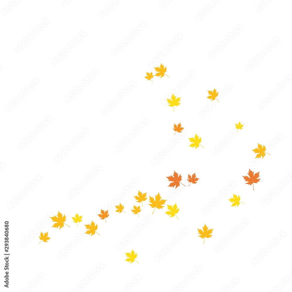 oak leaf background oak leaf background