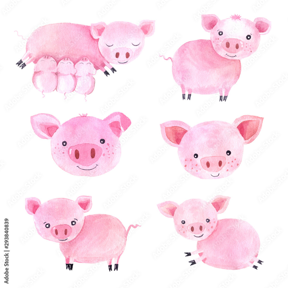 Watercolor cute pigs characters