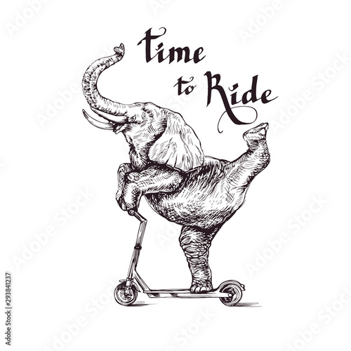 Funny elephant rides a scooter style engraving sketch vector