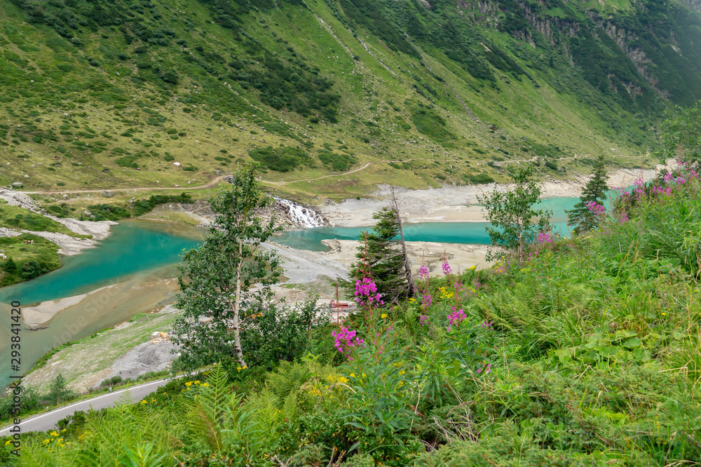 Turquoise water lake and purple flowers on a mountainside, Austrian Alps