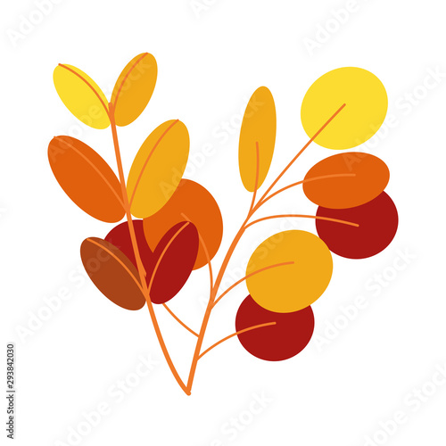 autumn branch with leafs plants seasonal