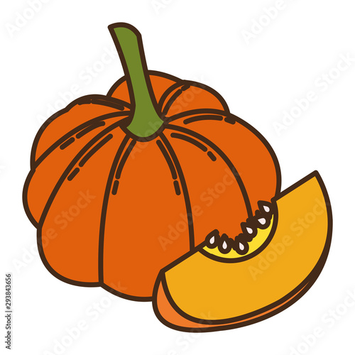 autumn pumpkin fruit seasonal isolated icon