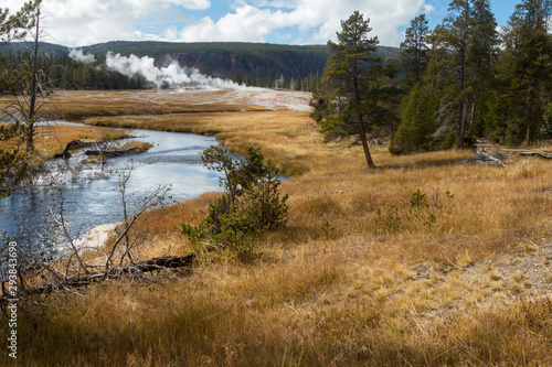 River flowing through Yellowstone park