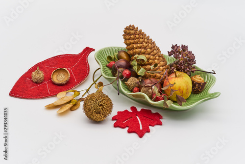 Festliche Dekoration mit Kastanien  Tannenzapfen und Eicheln auf wei  em Hintergrund f  r Thanksgiving oder Halloween