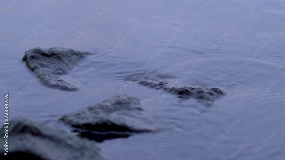 calm surface of river water. rocky shore. stones by the river calm surface of river water. rocky shore. stones by the river