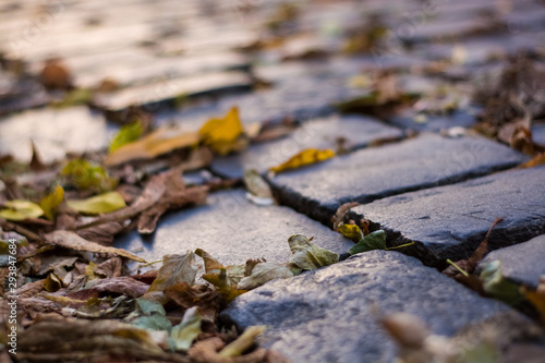 Background or texture from an old paving stones with yellowing autumn, fallen leaves on the road.