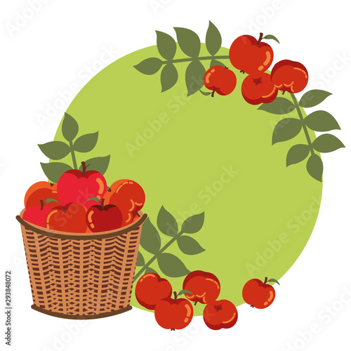 Wallpaper Mural apples of autumn in basket wicker with leafs decoration Torontodigital.ca