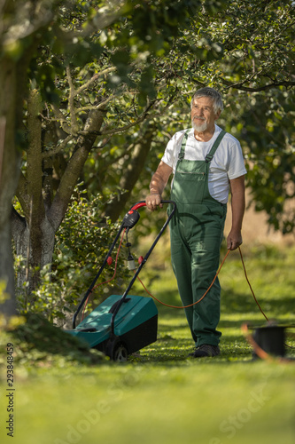 Senior gardener gardening in his permaculture garden -