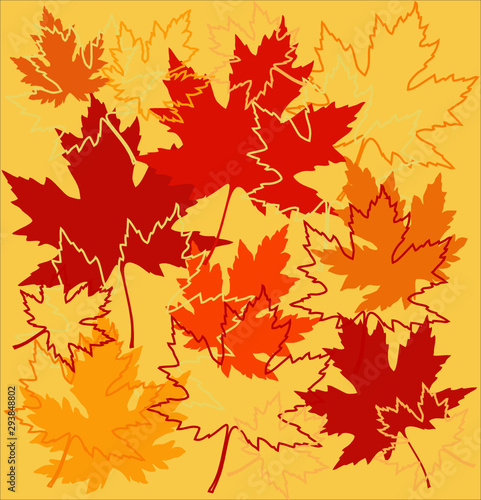 autumn leaves background